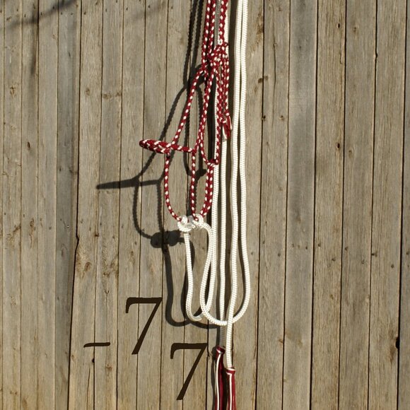 Handmade Braided Paracord Horse Loping Halter Hackamore - Yacht Rope Split Reins - Picture 8 of 9